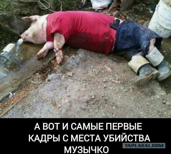 Тем временем в желтой прессе.