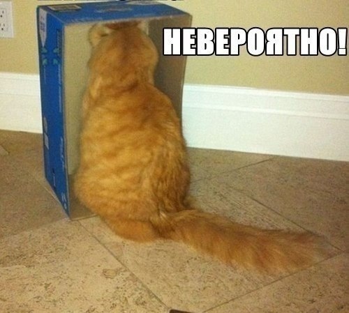 Смешные картинки