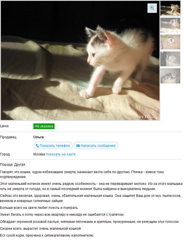История одного объявления