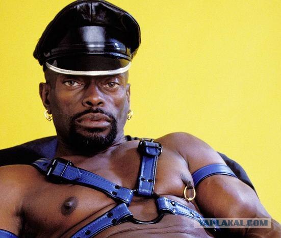 Битва мозгов.