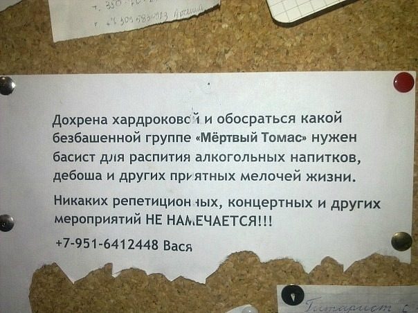 В группу требуется басист