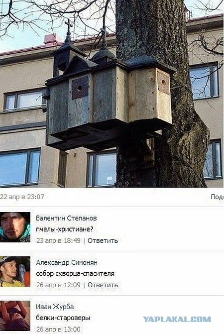 Смешные комментарии из социальных сетей