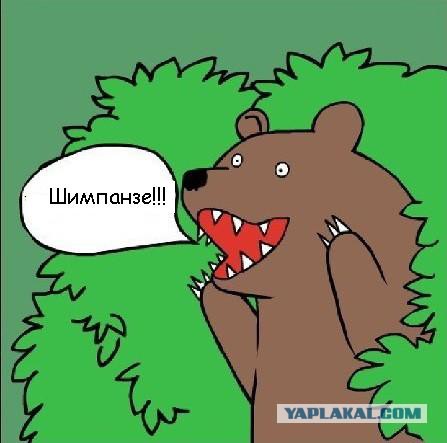 Коварная разлучница