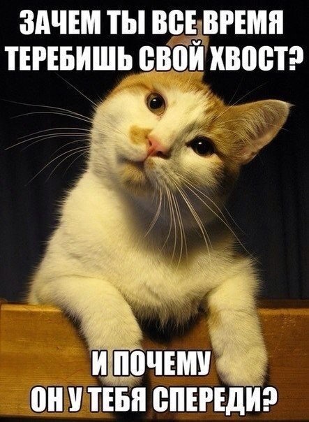 Развод на сайте знакомств