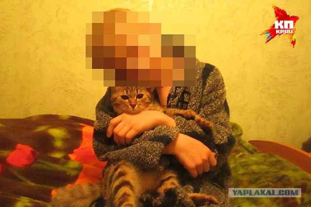 Третьеклассники в Балаково отрубили лапы котятам