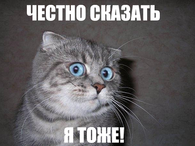 Да ты колдун, человек?!
