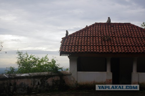 Самостоятельное путешествие в Шри-Ланку