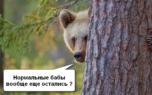 Подруга жены, ипотека и шуруповерт