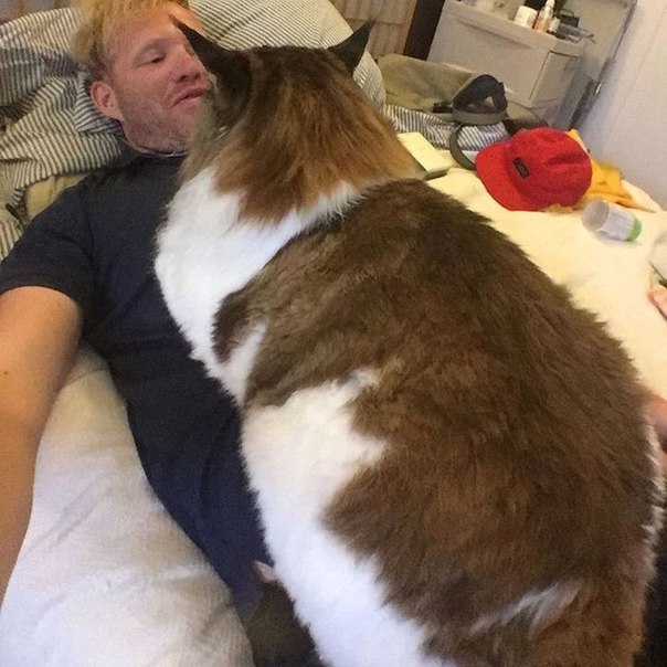 Прикольные животные