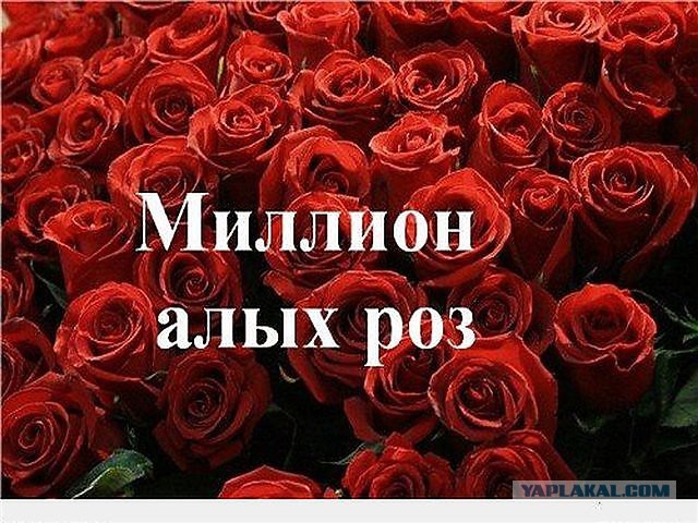 Поиграем в циферки?