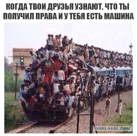 Подборка картинок с юмором "на любителя"