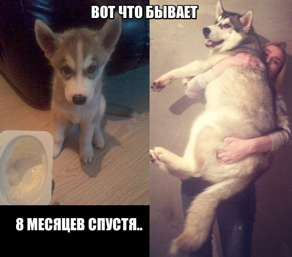 Подборка интересных и веселых картинок