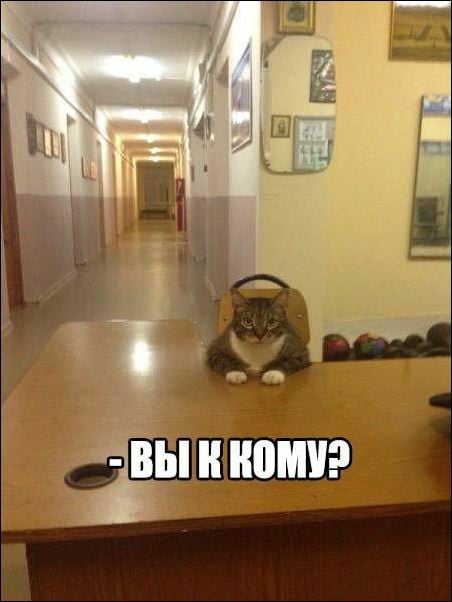 Приколы в стиле "регресс"