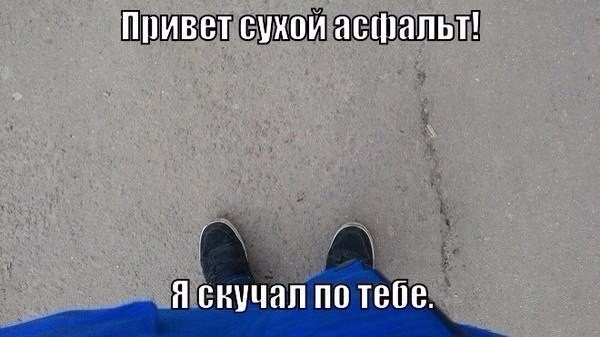 Прикольные картинки обо всём