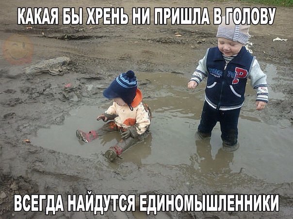 Итоги проверки пользователей