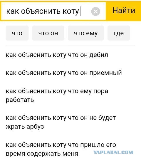 Смешные комментарии из социальных сетей 20.04.2018