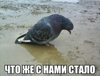 Дворовой конфликт: в бой идет и стар и млад