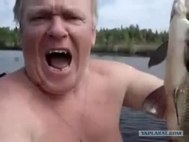 Эволюция порно