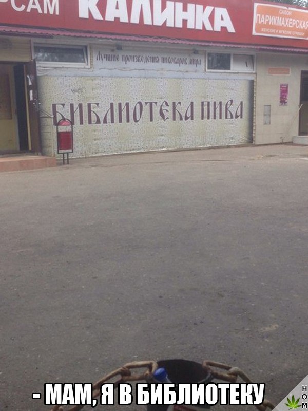 Прикольные надписи и объявления
