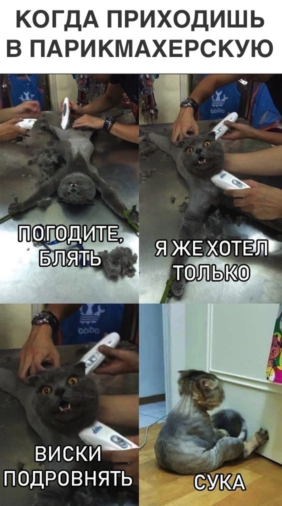 Немного бредового юмора на вечер субботы
