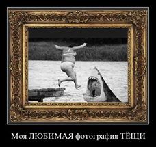 Подборка интересных и веселых картинок 19.03.19