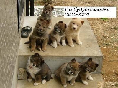 Лайфхак для семейных