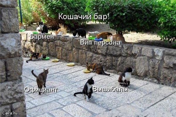 Демки и ностальджи