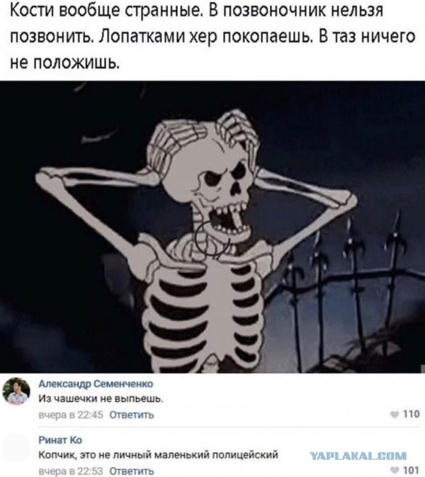 Юмор на любителя