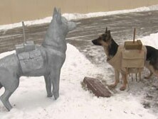Собака - танки непущака!