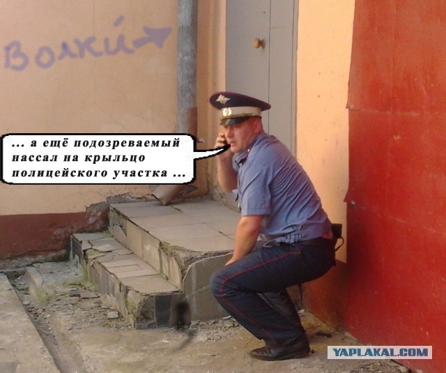 Фотожаба: Неупоротый.