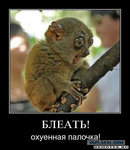 Лори