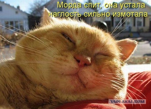 Вот ведь падла!