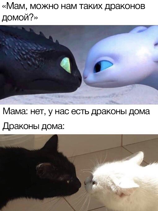 Весёлый полтишок 26.04