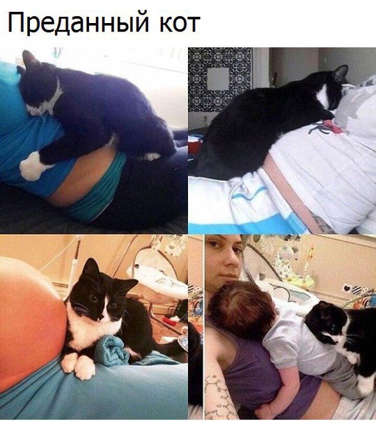 Подборка душевных фотографий, которые восполнят нехватку добра