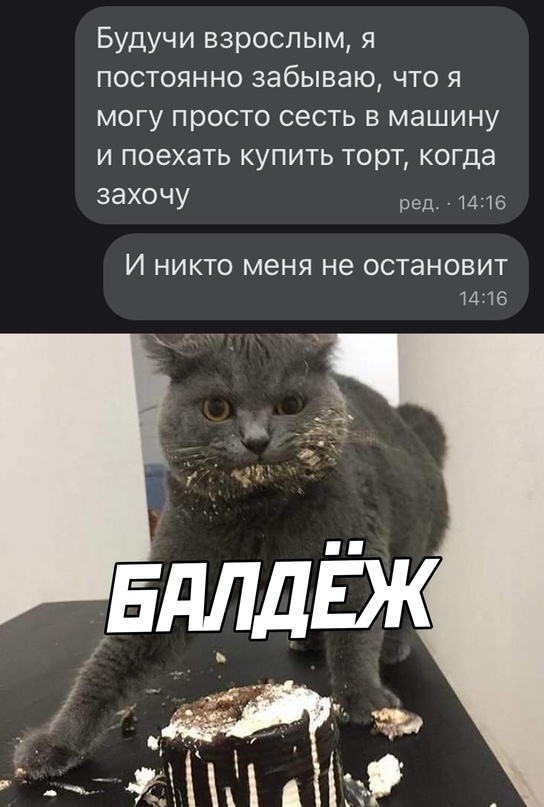 Весёлый полтишок 09.09.