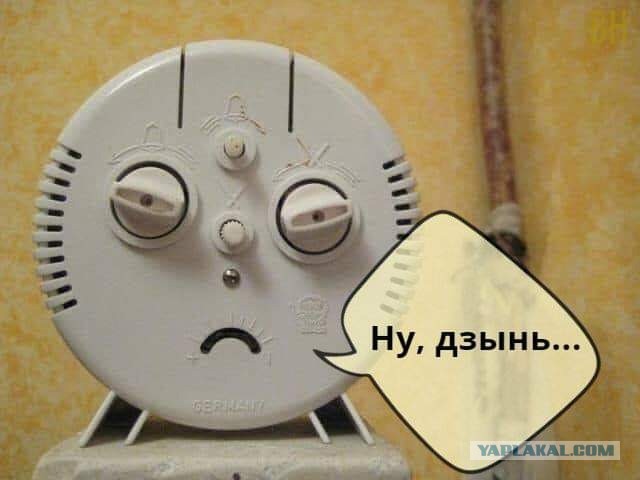 Всяческие картинки 08.11.2021