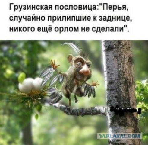 Мешанина из картинок, поулыбаться или просто пофтыкать