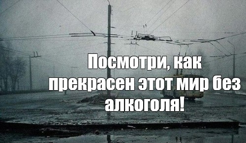 В Госдуме думали думали и придумали, как уберечь граждан от "спаивания" в Новый год