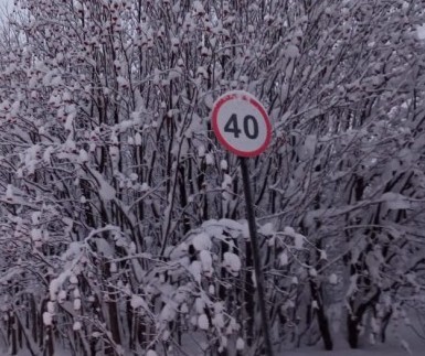 Женщины (девушки) не хотят рожать и это странно