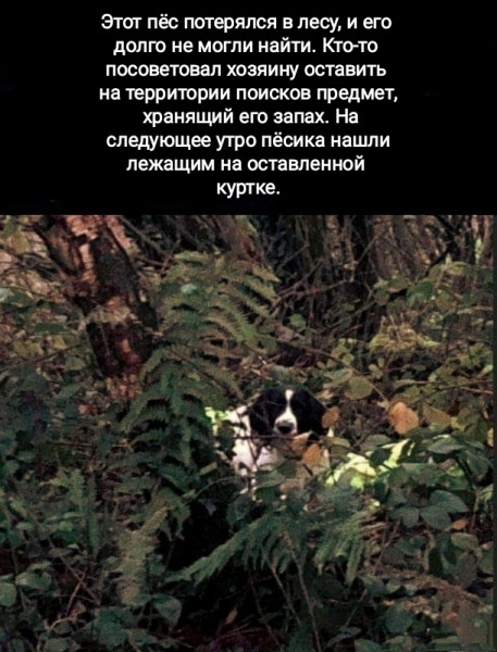 Весёлый полтишок 14.01