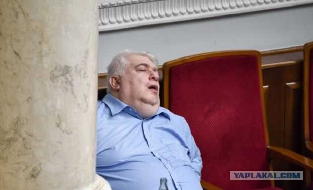 Депутаты херовы
