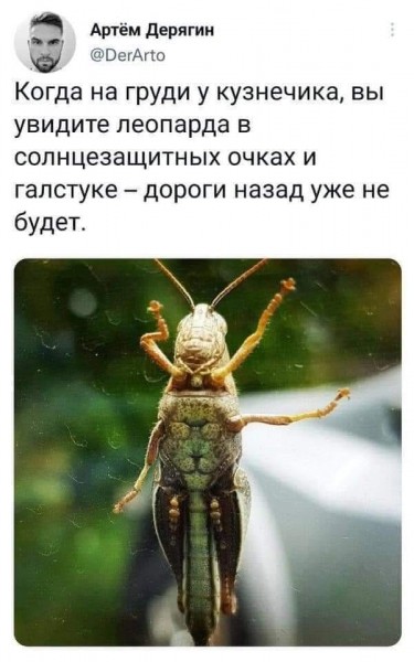 Пятница. Вечер. Картинки всякие #8