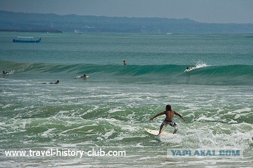 Они живут только 40 лет