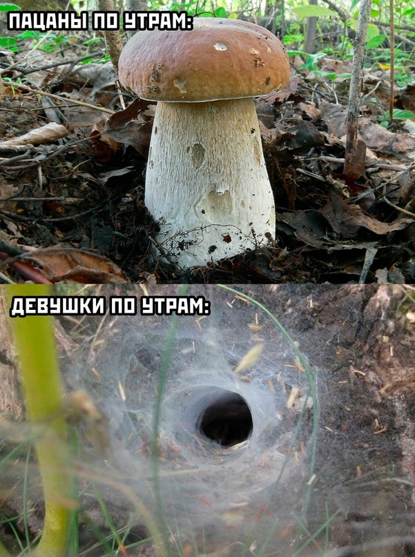 Немного картинок для настроения - 123