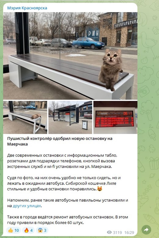Пушистый контролёр одобрил новую остановку