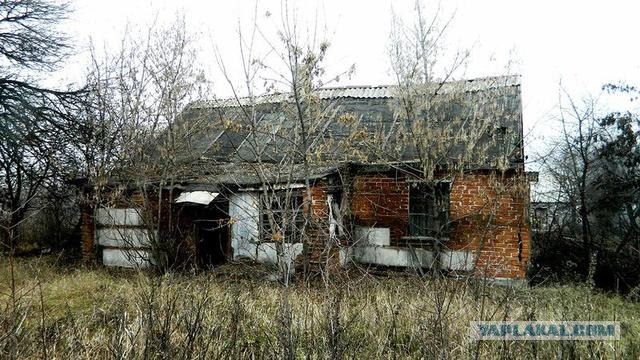 Житница, вольница, кладовая чёрного золота...