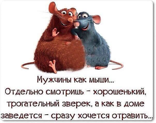 Сборник Боянов №2