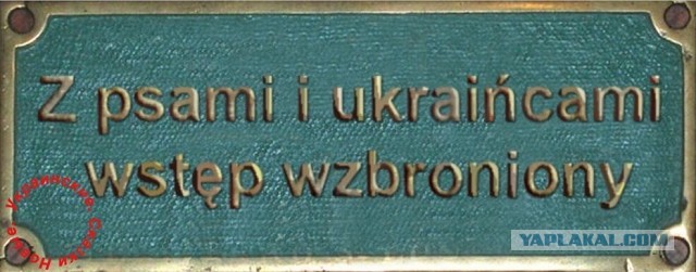 Польский обозреватель заявляет, что Варшава готовит «освободительный марш» на Киев