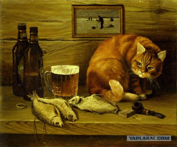 Грустная рыба даст фору грустному коту