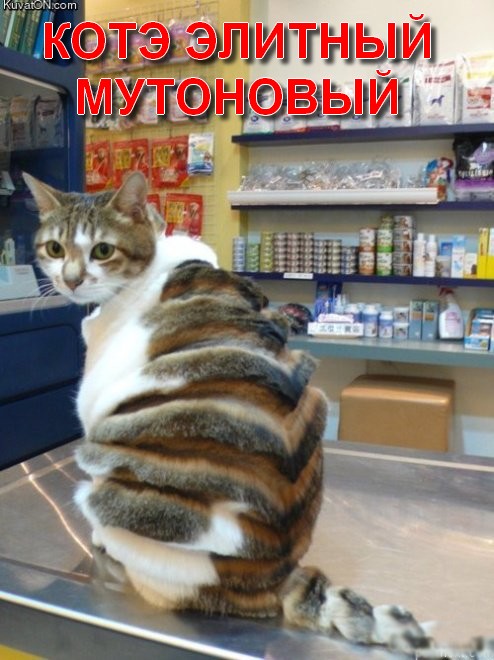 Приземление